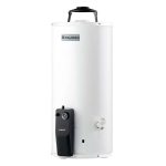 Calentador de deposito Fortis G10, gas LP, 1 servicio