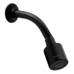 Regadera con brazo REC-03-EB color negro